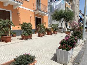 Lipari by the Port (B) - Holiday Housing