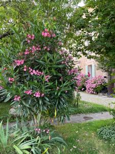 B&B / Chambres d'hotes La Maison d’Hortense et Lili : photos des chambres