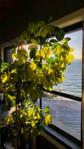 Berkana hostel Bariloche