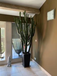 Appartements Le Loft DUPLEX, 2 Terrasses, au coeur du village : photos des chambres