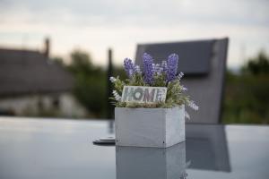 Bridgiet Home Apartman