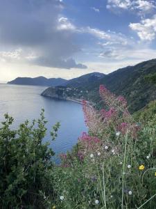 AL GEKO DEL GROPPO ☆ Breath & Relax ☆ 5 TERRE