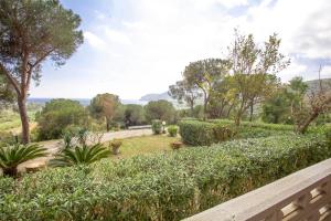 Villa Conti Residence