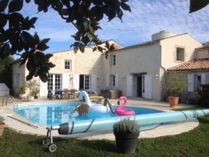 Maison ancienne avec piscine au milieu des vignes