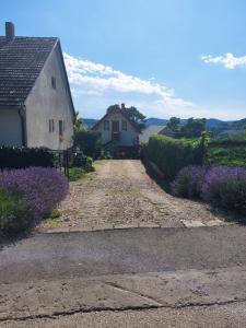 Kossuth Lajos utca 73 Apartman Nabuka
