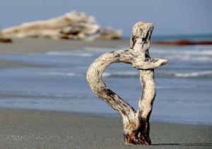 Appartements Campo Vecchio Kamerops et piscine : photos des chambres