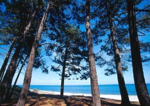 Appartements Campo Vecchio Kamerops et piscine : photos des chambres