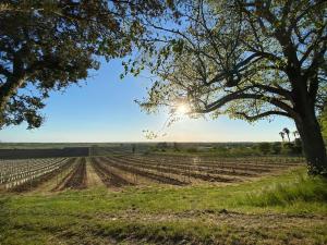 Maisons de vacances Entre Vignobles et Estuaire - Gite 12 pers : photos des chambres