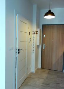 Studio Verdemar Nexo