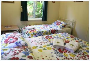 Coral Lodge Bed and Breakfast Inn