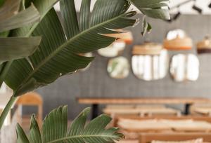 Hotels Le Mirage : photos des chambres