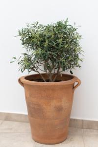 Armonia House 1 bedroom 3 guests bath tub & patio