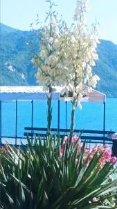 Dina apartman Jablaničko jezero - 科尼茨 Dina apartman Jablaničko jezero - 科尼茨