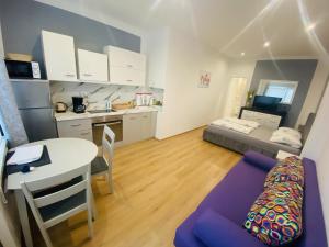 Apartments Martic Janja