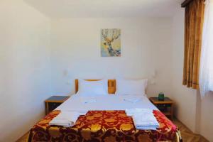 Standard Apartment room in Pension Krek