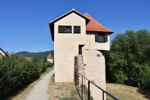 Appartements s'Harzala Vert : photos des chambres