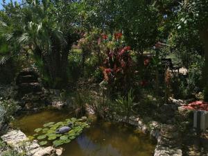 Vivienda Rural La choza