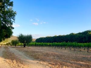 Appartements Appartement avec terrasse arboree proche LOURMARIN : photos des chambres