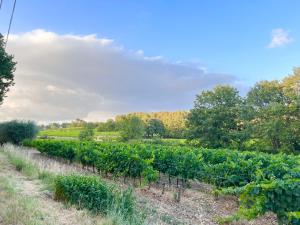 Appartements Appartement avec terrasse arboree proche LOURMARIN : photos des chambres