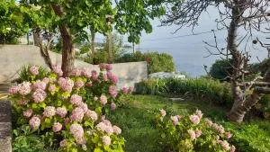 Apartments Mare Croatia - Senj