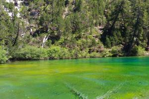 La Moulinière 1 - Functional and well-equipped studio