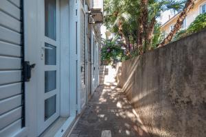 Palm garden apartment in center with big terrace