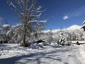 Chalets Chalet 6/8 Pers avec jardin sur les pistes de ski : photos des chambres