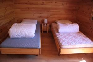 Chalets Chalet 6/8 Pers avec jardin sur les pistes de ski : photos des chambres