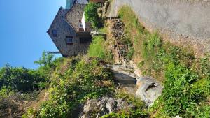 Maisons de vacances La Camisse : photos des chambres