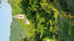 Maisons de vacances La Camisse : photos des chambres