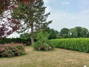 Maisons de vacances Blissful Holiday Home in H nansal with Garden : photos des chambres