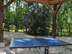 Maisons de vacances Gite confortable avec parc boise, activites familiales et equipements modernes pres de la Loire - FR-1-381-470 : photos des chambres