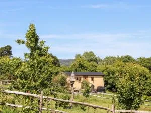 The Gypsy - Trefnant