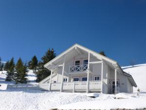 Chalet spacieux avec poêle à bois, WIFI gratuit, terrasse, garage et proche des pistes - FR-1-425-122