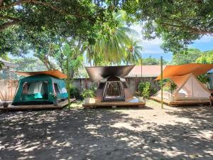 Shenanigans Glamping Resort