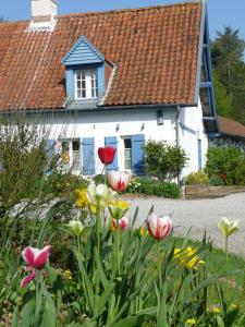 B&B / Chambres d'hotes B&B au petit tambour d'Autingues : photos des chambres