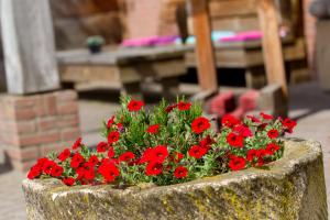 Hotel & Lodges Erve Bruggert