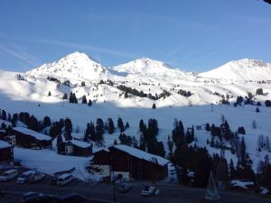 Appartement cosy proche pistes, animaux admis, balcon - FR-1-181-2220