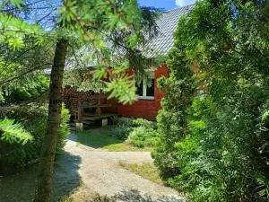 Domek na Świerkowej - Jałówka