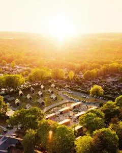 De IJsvogel - Het échte Veluwegevoel - 维尔豪特