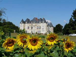 B&B / Chambres d'hotes Chateau de Piolant : photos des chambres