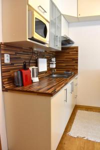 Family home Lipno Lake, Airstay Lipno