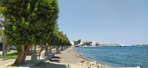 Old Town Harmony Apt