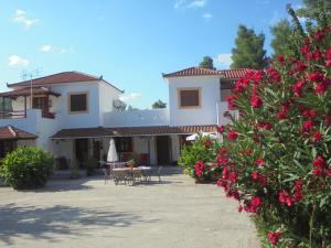 Villa Sandra Skopelos Greece