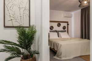 Rivulet Suite