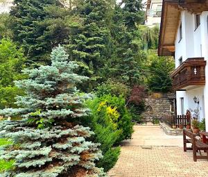 Appartments Bergluft