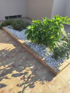 #3 Giorgos & Chara apartments