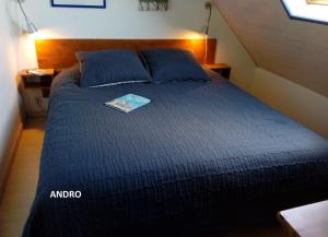 Maisons de vacances Maison Andro : photos des chambres