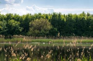 Töreki 34 Vendégház