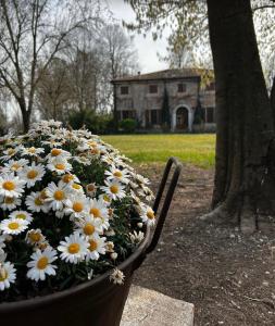 Agriturismo Corte San Girolamo